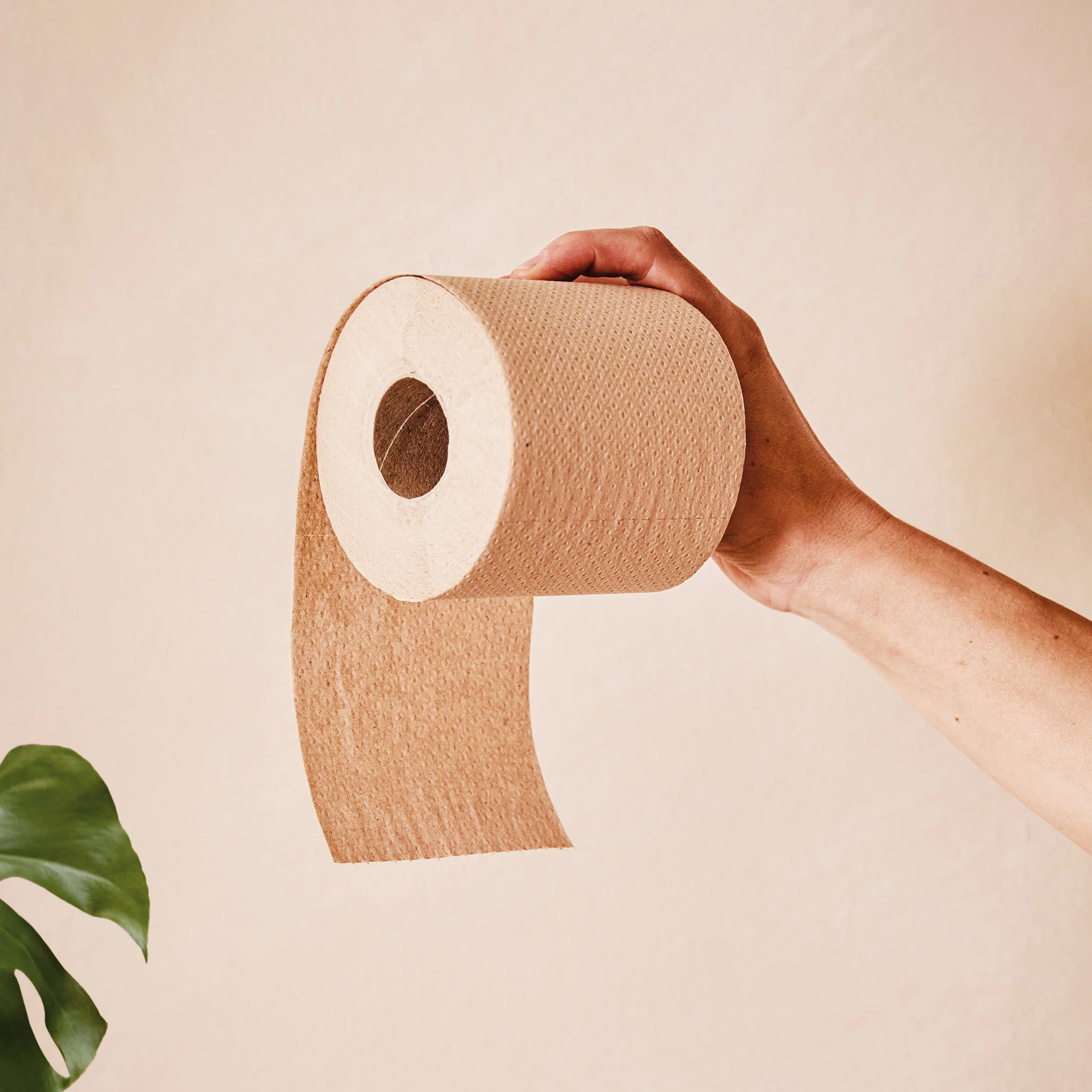 Vegan Toilet Roll